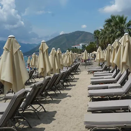 Cle البوتيكي فندق